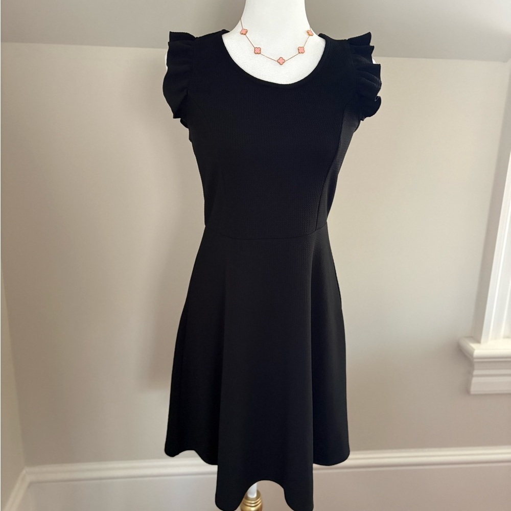 Caution To The Wind Black Ruffle Sleeve Fit-and-Flare Mini Dress